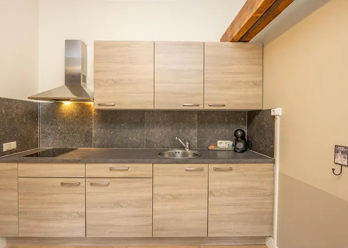 Luxe Leonardus Appartement *